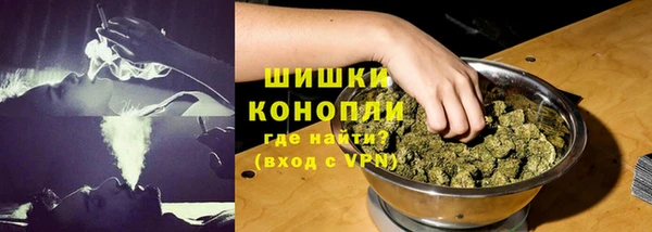 PSILOCYBIN Богородск