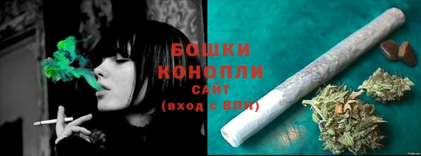 PSILOCYBIN Богородск