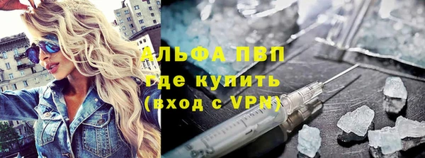 индика Бронницы