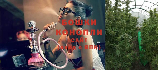 прущие крисы Богданович