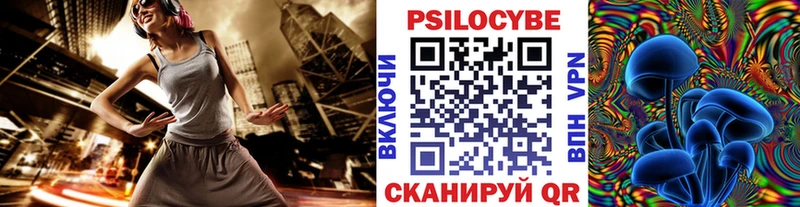 что такое Барабинск Псилоцибиновые грибы прущие грибы